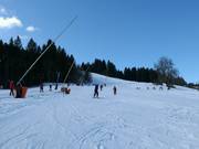 Gemakkelijke familie-afdaling