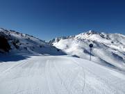 Gemakkelijke piste Kratki plaz nr. 8