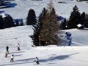 Sneeuwkanon op de dalafdaling Kleinarl