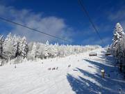 De langste piste in het skigebied bij de Große Almberg-stoeltjeslift