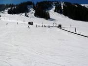 Beginnersgebied bij de transportband