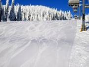 Perfect geprepareerde piste in Sun Peaks