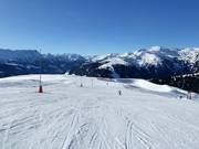 Piste nr. 39 Falschbach