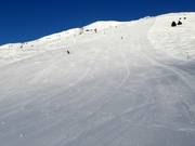 Ook de zwarte pistes zijn perfect geprepareerd.