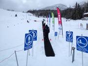 Red Mountain Carpet - Transportband