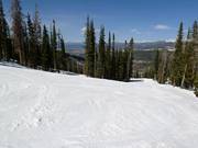 Typische bosafdaling in Winter Park