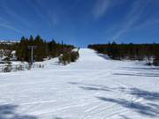 Gemakkelijke afdaling Dalen 2