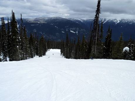 Pisteaanbod Selkirk Mountains – Pisteaanbod Revelstoke Mountain Resort