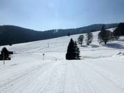 Verbindingsafdaling tussen Mösle- en Schwinbachlift