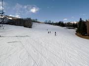 Afdaling Velvet Falls