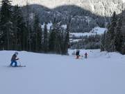 Moeilijke piste 14 Balbach-Ochsengarten