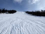 Moeilijke piste Stora backen in Tandådalen