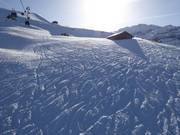 Diepsneeuwsporen naast de FIS-piste in Lenk