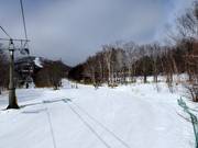 Gemakkelijke piste South Road