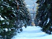 Predigtstuhl II - Herzerllift - Sleeplift met T-beugel/Ankerlift