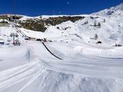 Wolli beginnerspark Sunnegga