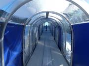 Bunny Express 2 - Overdekt(e) transportband/Moving Carpet