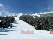 Afdaling Whiskey Jack