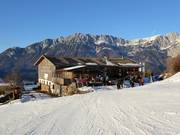 Jausenstation Hochlechen in Scheffau