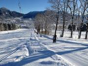 Jaudenhanglift 2 - Sleeplift met T-beugel/Ankerlift