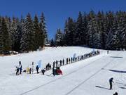 Schatzberg Zwergenland: transportband, skischoolterrein en lichte pistes