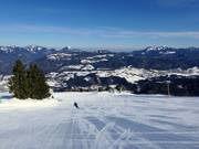 Gemakkelijke piste bij de Bärenlift