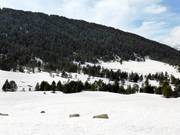 Langlaufloipes in Grau Roig