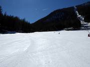 Oefenweide Mauterndorf