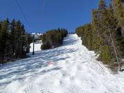 Buckelpiste Kapoof op Mount Norquay