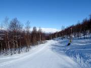 Piste nr. 22 Norrstråket