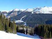 Uitzicht vanaf de Rotwand naar de Stiergarten