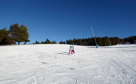 Skigebieden voor beginners in de provincie Girona – Beginners La Molina/Masella – Alp2500