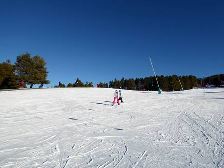 Skigebieden voor beginners in Spanje – Beginners La Molina/Masella – Alp2500