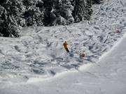 Een beetje poedersneeuw kan altijd.