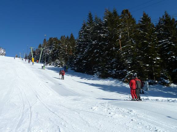 Bühlertallift 1 - Sleeplift met T-beugel/Ankerlift
