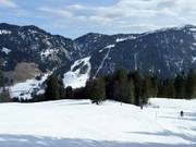 Uitzicht vanaf de Schelpen op de Riedberger Horn