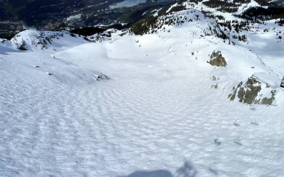 Skigebieden voor gevorderden en off-piste skiërs Garibaldi Ranges – Gevorderden, off-piste skiërs Whistler Blackcomb