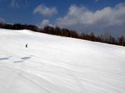 Lichte en brede piste Family