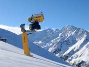 Krachtige besneeuwing in See