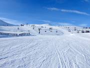 Piste Skrållan Nr. 10