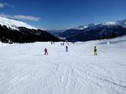Gemakkelijke piste bij de skilift Palius