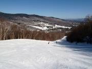 Brede bosbaan-afdaling