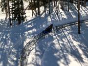 Tip voor de kleintjes 