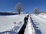 Transportband in de bodmiARENA
