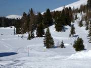 Schwarzsee-Hochveen-loipe