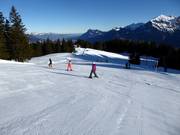 Oefenweide Prodboden (Pardiel)