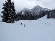 Oefenweide bij de Hummer Handle Tow