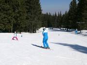 Tellerlift Training in de buurt van Aleko