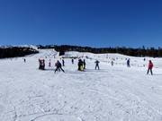 Gemakkelijke piste bij de oefenlift (sleepkabel)
