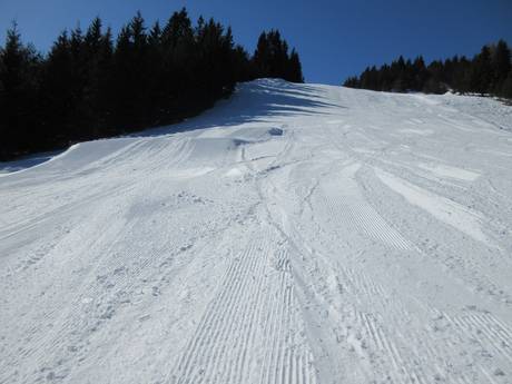 Pisteaanbod Alpenwelt Karwendel – Pisteaanbod Kranzberg – Mittenwald
